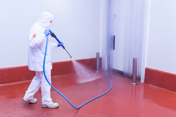 Best Solar Panel Cleaning  in Owens Cross Roads, AL