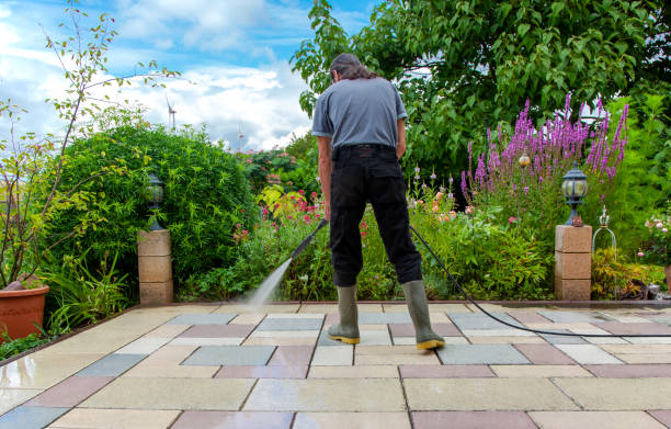 Best Winterizing Services  in Owens Cross Roads, AL